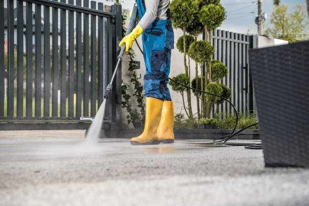 Best Solar Panel Cleaning  in Coto De Za, CA